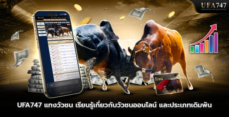 UFA747-แทงวัวชน-เรียนรู้เกี่ยวกับวัวชนออนไลน์-และประเภทเดิมพัน