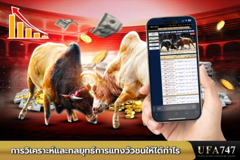 การวิเคราะห์และกลยุทธ์การแทงวัวชนให้ได้กำไร