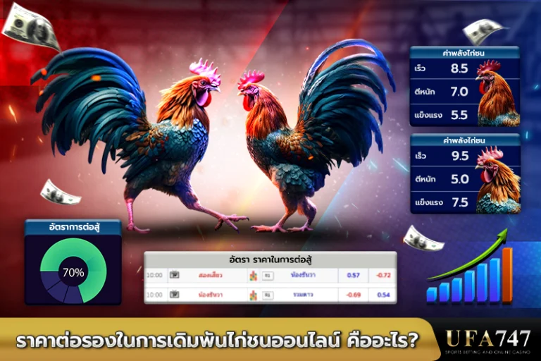 ราคาต่อรองในการเดิมพันไก่ชนออนไลน์-คืออะไร