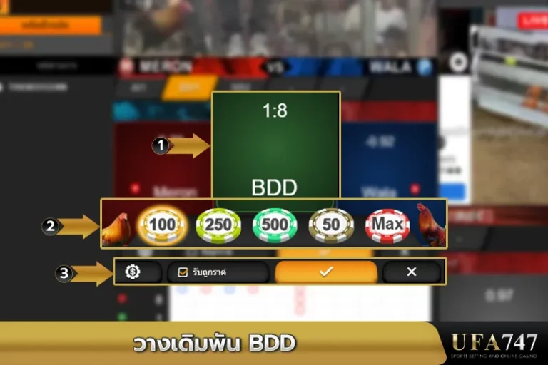 วางเดิมพัน-BDD
