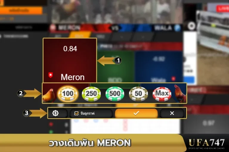 วางเดิมพัน-MERON